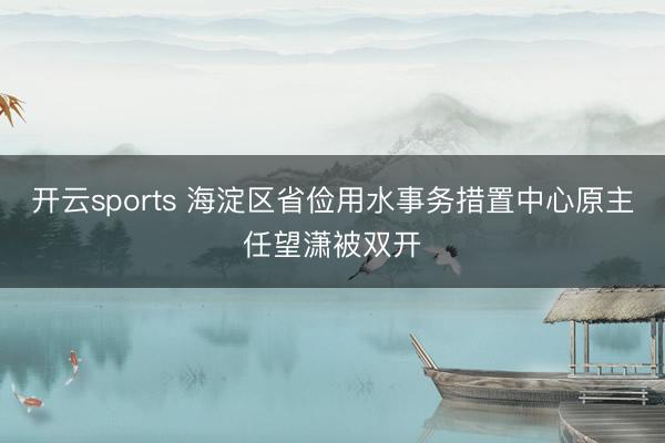 开云sports 海淀区省俭用水事务措置中心原主任望潇被双开