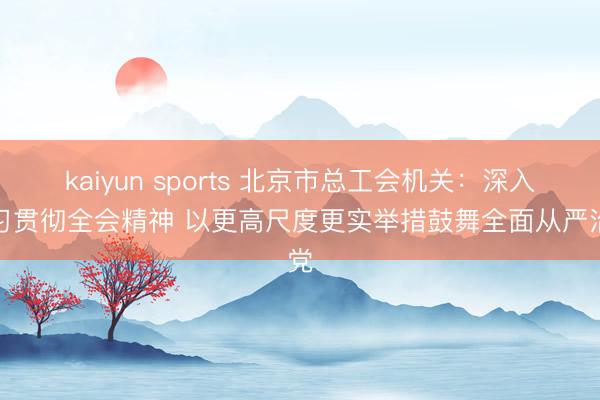 kaiyun sports 北京市总工会机关:深入学习贯彻全会精神 以更高尺度更实举措鼓舞全面从严治党