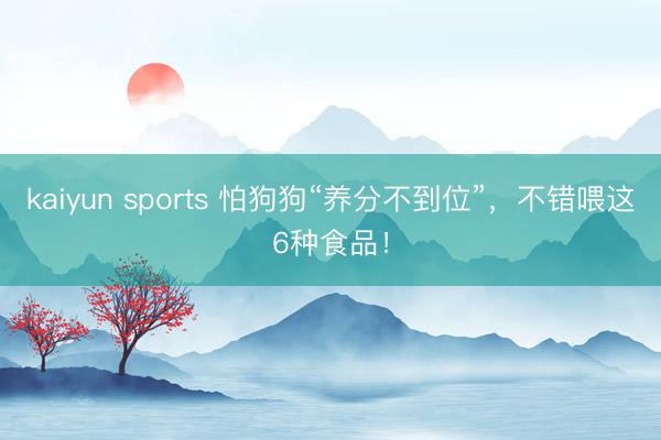 kaiyun sports 怕狗狗“养分不到位”,不错喂这6种食品!