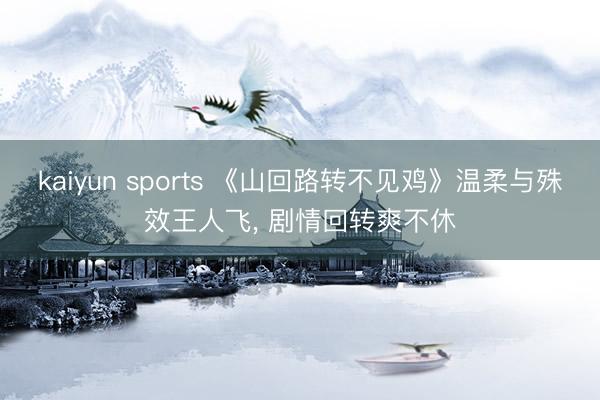 kaiyun sports 《山回路转不见鸡》温柔与殊效王人飞, 剧情回转爽不休