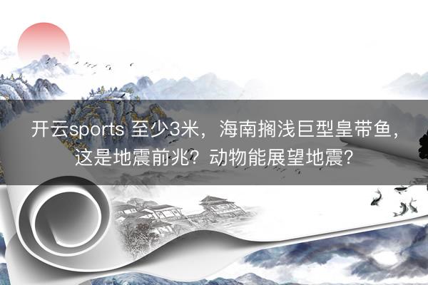 开云sports 至少3米,海南搁浅巨型皇带鱼,这是地震前兆?动物能展望地震?